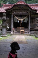 ネロと那須神社