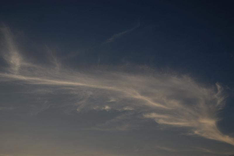 DSC_1652.jpg