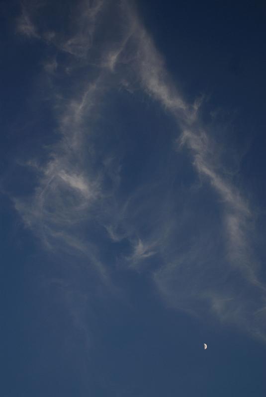 DSC_1655.jpg