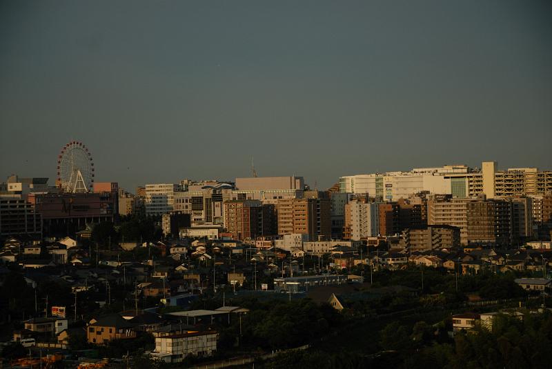 DSC_1659.jpg