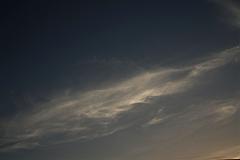 DSC_1653