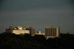 DSC_1658