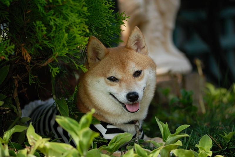 DSC_2115.jpg