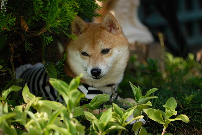 DSC_2120.jpg
