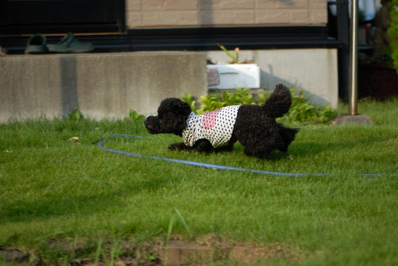 DSC_2159.jpg