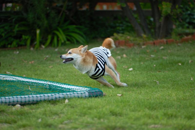 DSC_2163.jpg