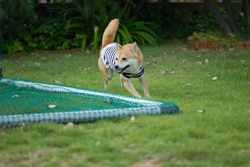 DSC_2165.jpg