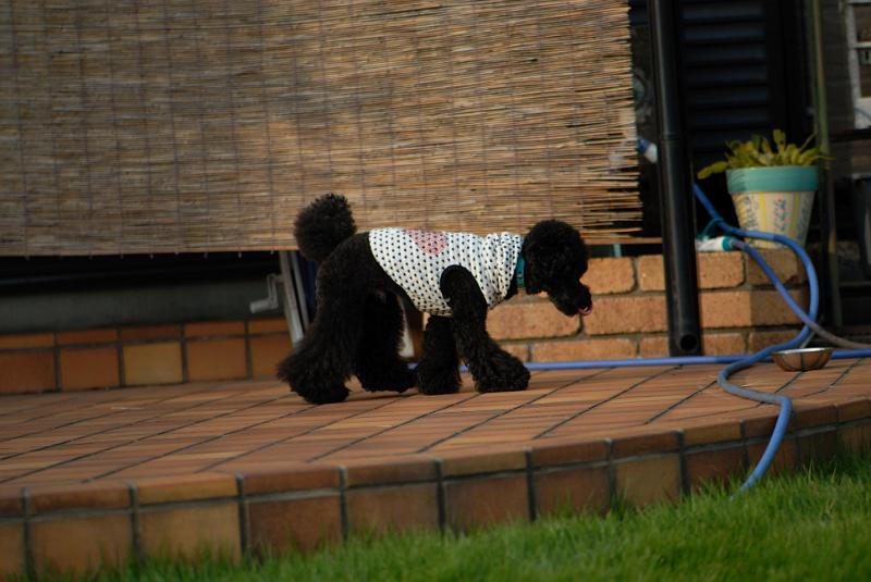 DSC_2182.jpg