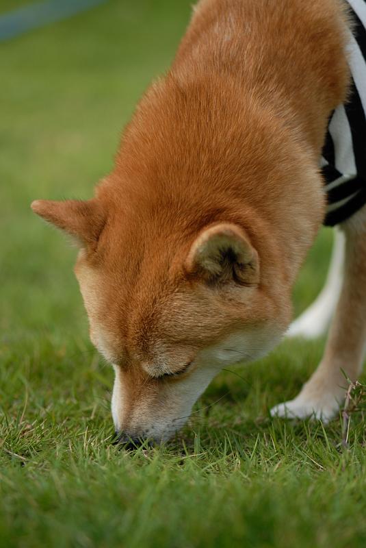 DSC_2186.jpg
