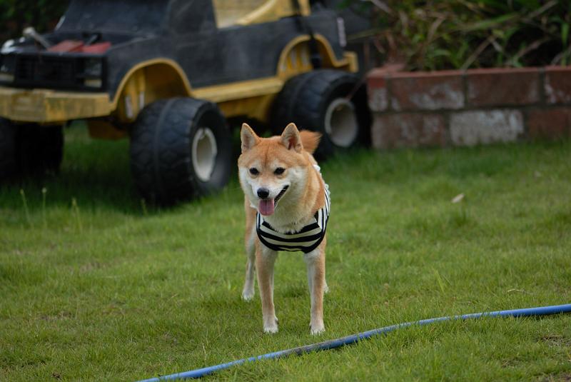 DSC_2236.jpg