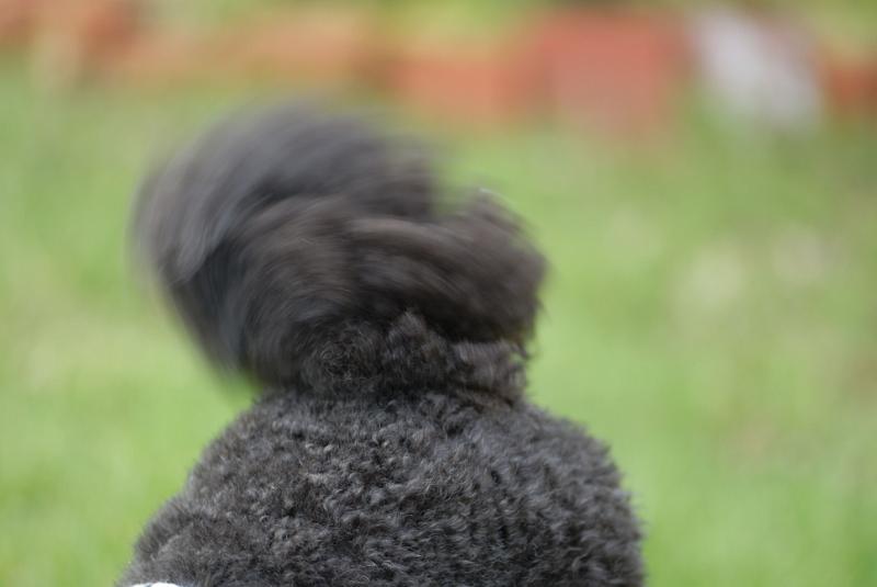 DSC_2237.jpg