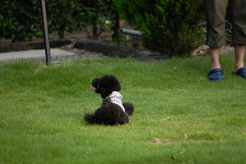 DSC_2241.jpg