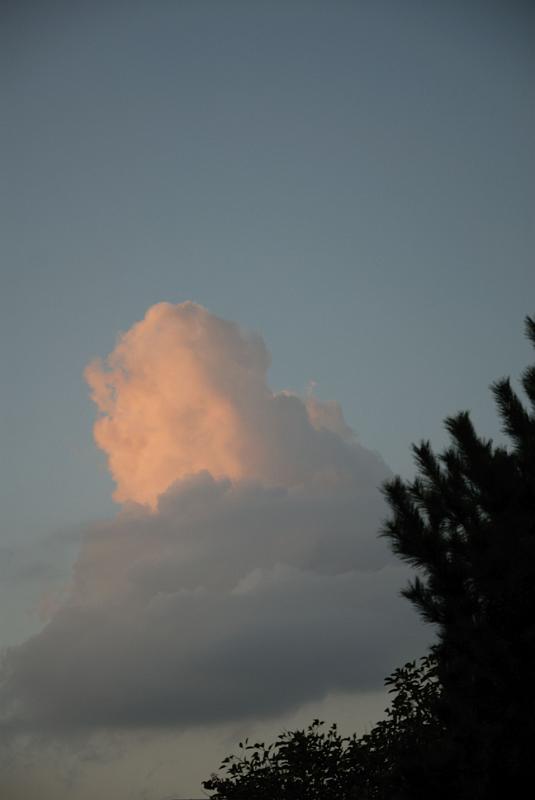 DSC_2778.jpg
