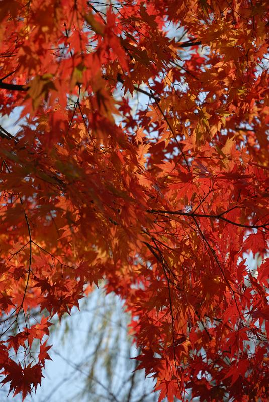 DSC_2830.jpg