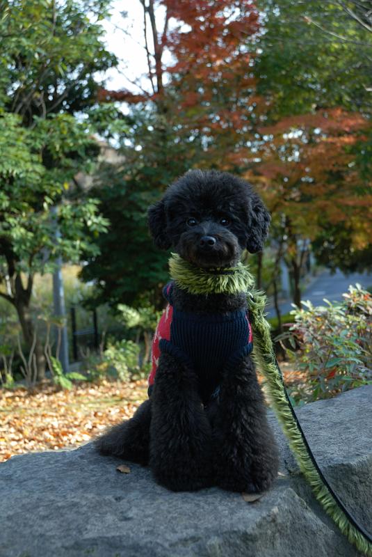 DSC_2834.jpg