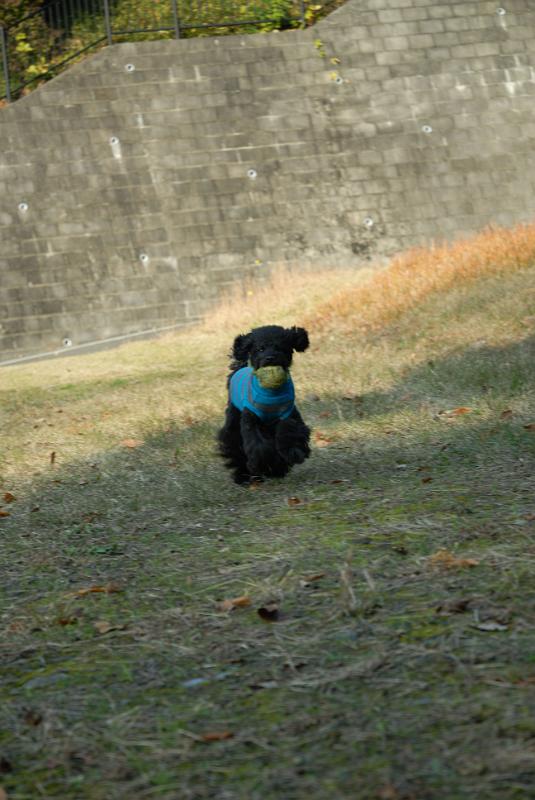 DSC_2853.jpg