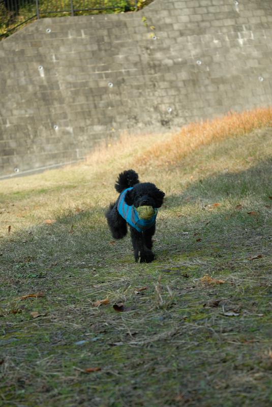 DSC_2854.jpg