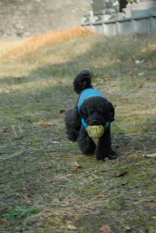 DSC_2857.jpg