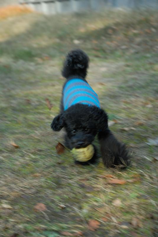 DSC_2858.jpg