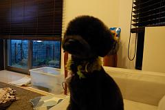 DSC_3047