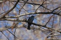 dsc_4955.jpg