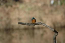 dsc_4961.jpg