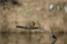 dsc_4963.jpg