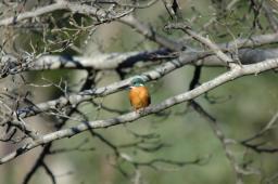dsc_4967.jpg