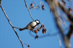 dsc_4968.jpg
