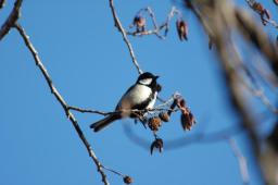 dsc_4969.jpg