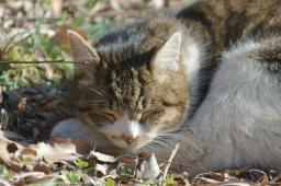 dsc_4977.jpg