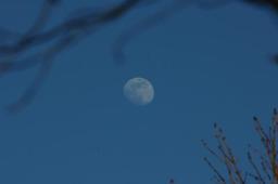 dsc_4983.jpg