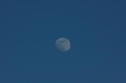 dsc_4984.jpg