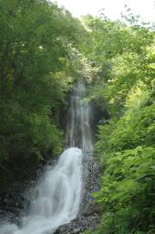 dsc_8031.jpg
