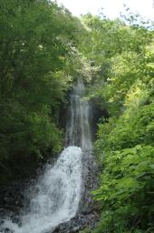 dsc_8032.jpg