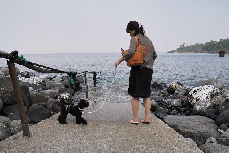 DSC_0311.JPG - 富戸 脇の浜