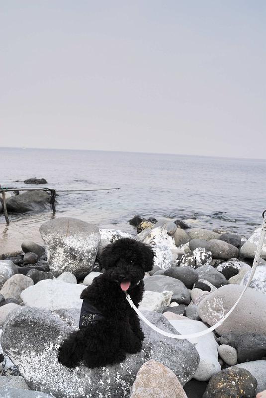DSC_0324.JPG - 富戸 脇の浜