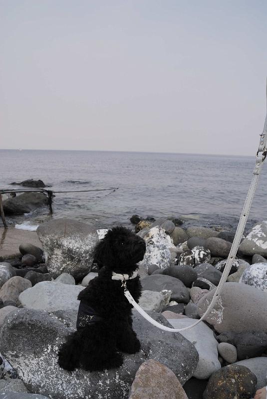 DSC_0325.JPG - 富戸 脇の浜