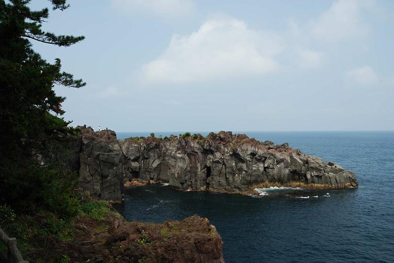 DSC_1259.jpg