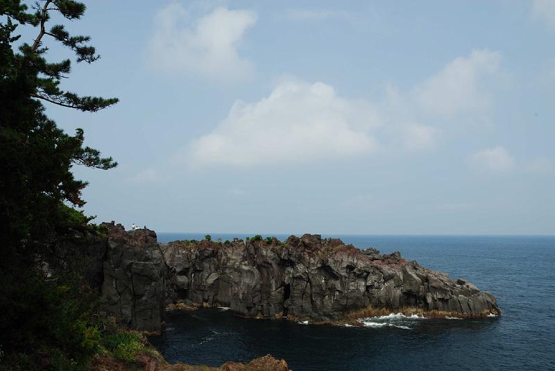 DSC_1260.jpg