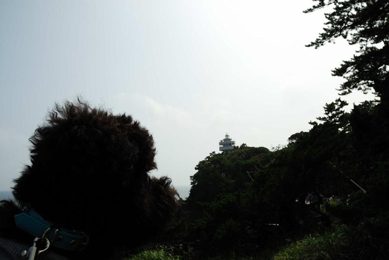 DSC_1279.jpg