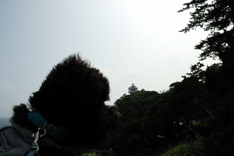 DSC_1280.jpg