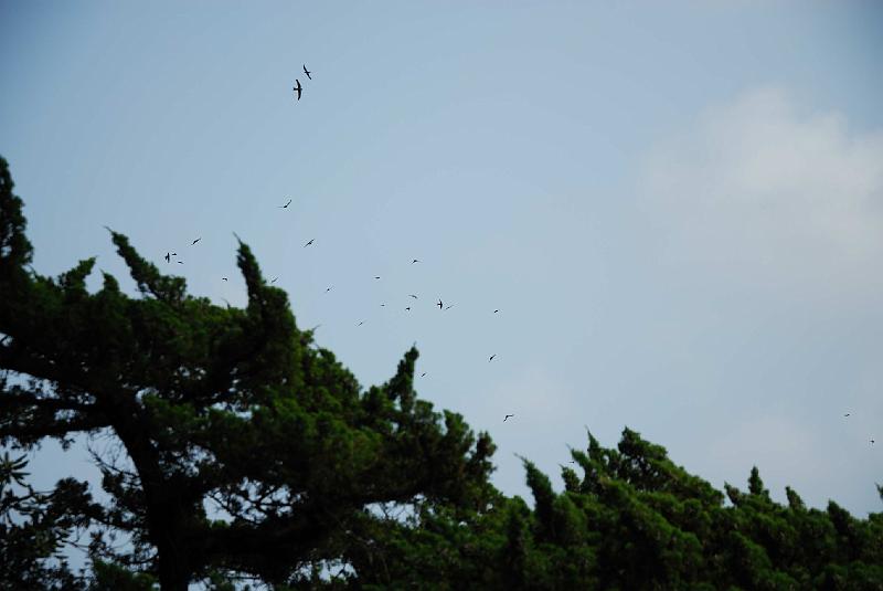 DSC_1287.jpg