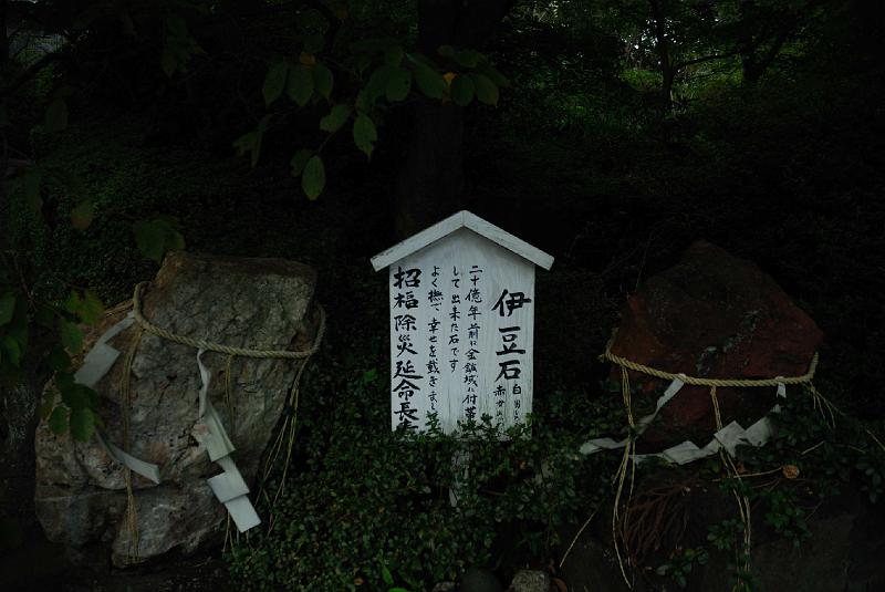 DSC_1426.jpg