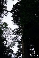 DSC_1659
