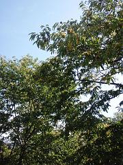 PA050257