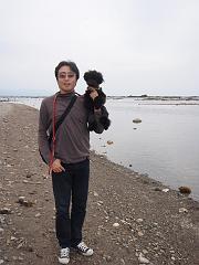 鵜の崎海岸