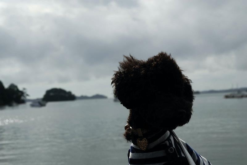 DSC_2146.jpg - 松島にて