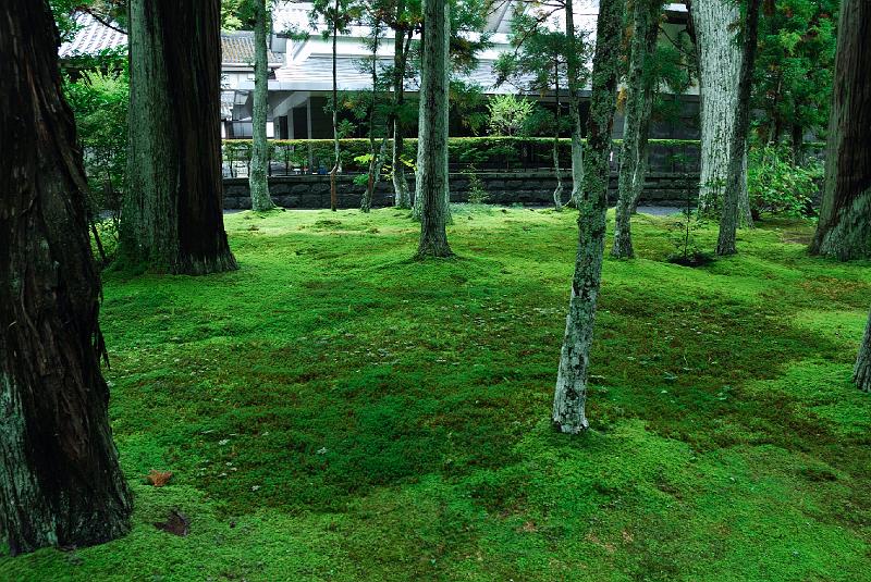 DSC_2231.jpg - 瑞巌寺境内