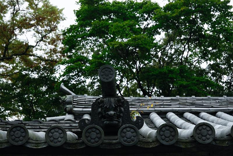 DSC_2242.jpg - 瑞巌寺 本堂 鬼瓦